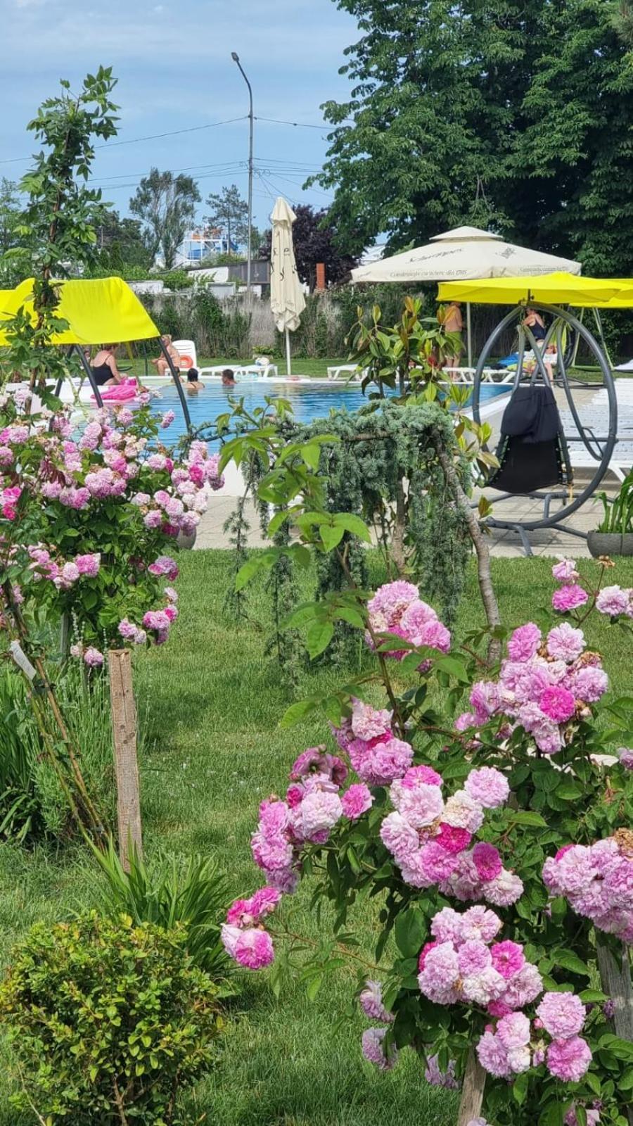 Hotel Iulia Resort Venus Zewnętrze zdjęcie