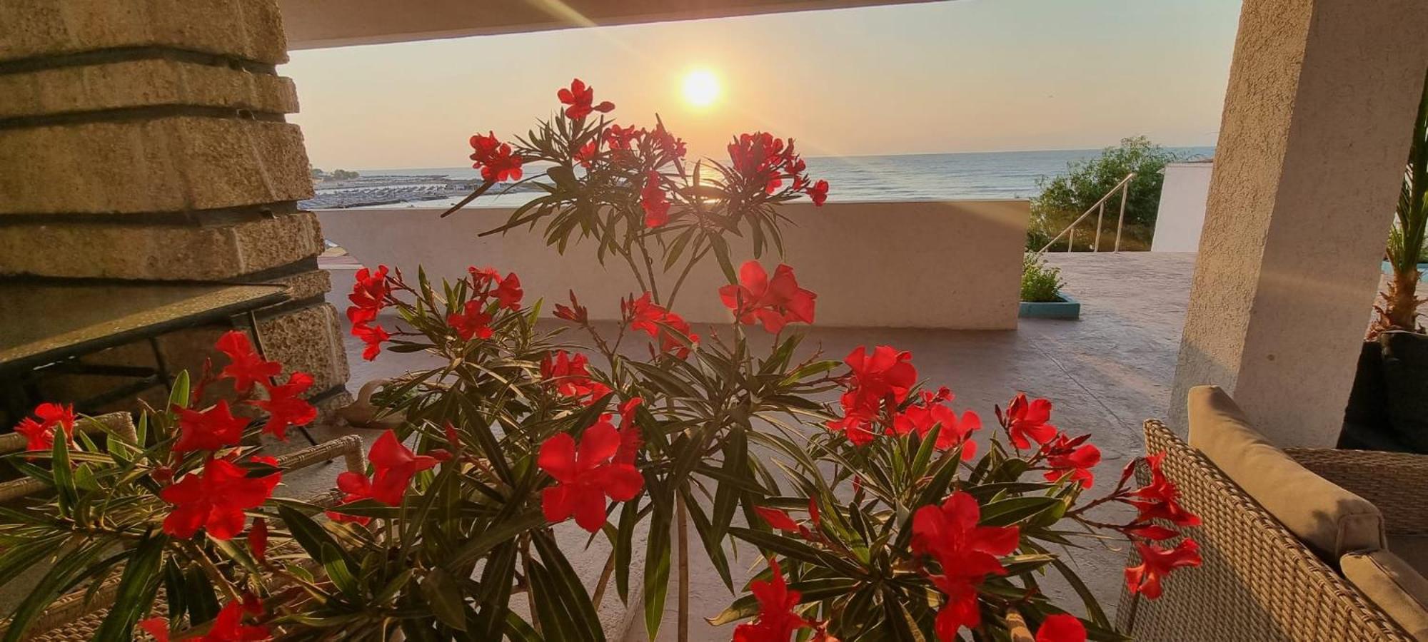 Hotel Iulia Resort Venus Zewnętrze zdjęcie